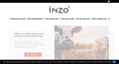 Desktop Screenshot of inzo-net.com